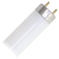 17 Watt 2 ft. T8 Fluorescent Tube I1891