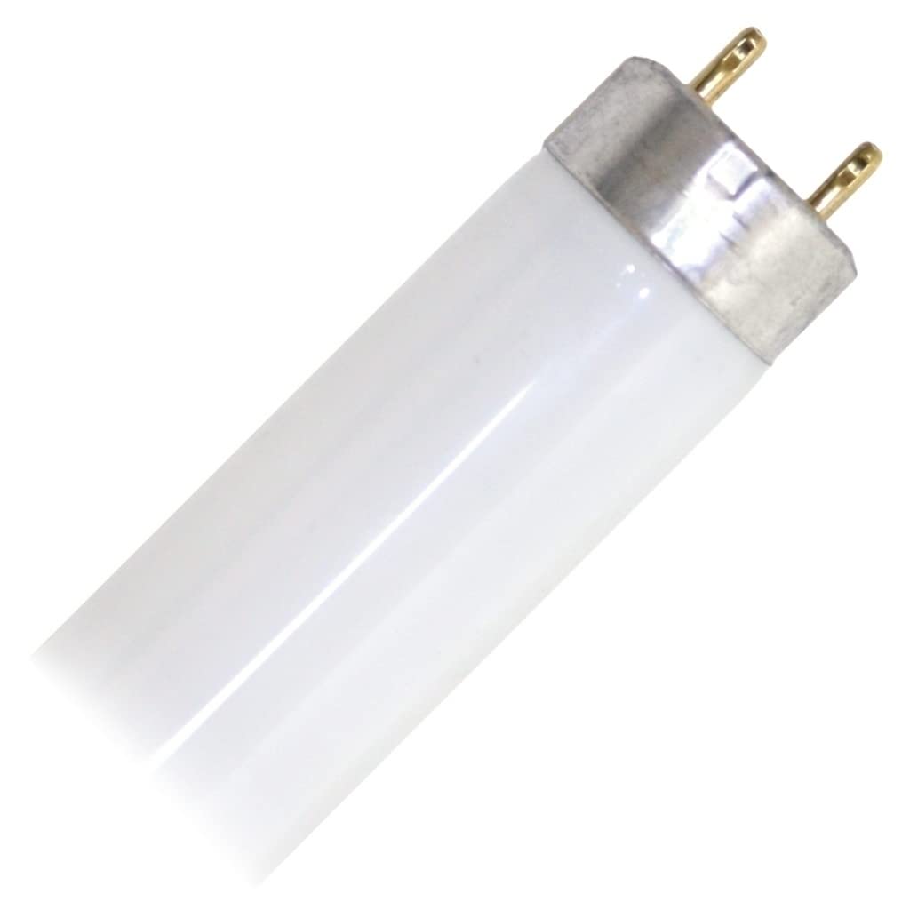 17 Watt 2 ft. T8 Fluorescent Tube I1891