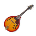 8 Strings Electric Mandolin with Cable and Cleaning Cloth Z744