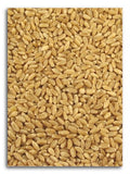 Organic Hard White Wheat 25 lbs. R424