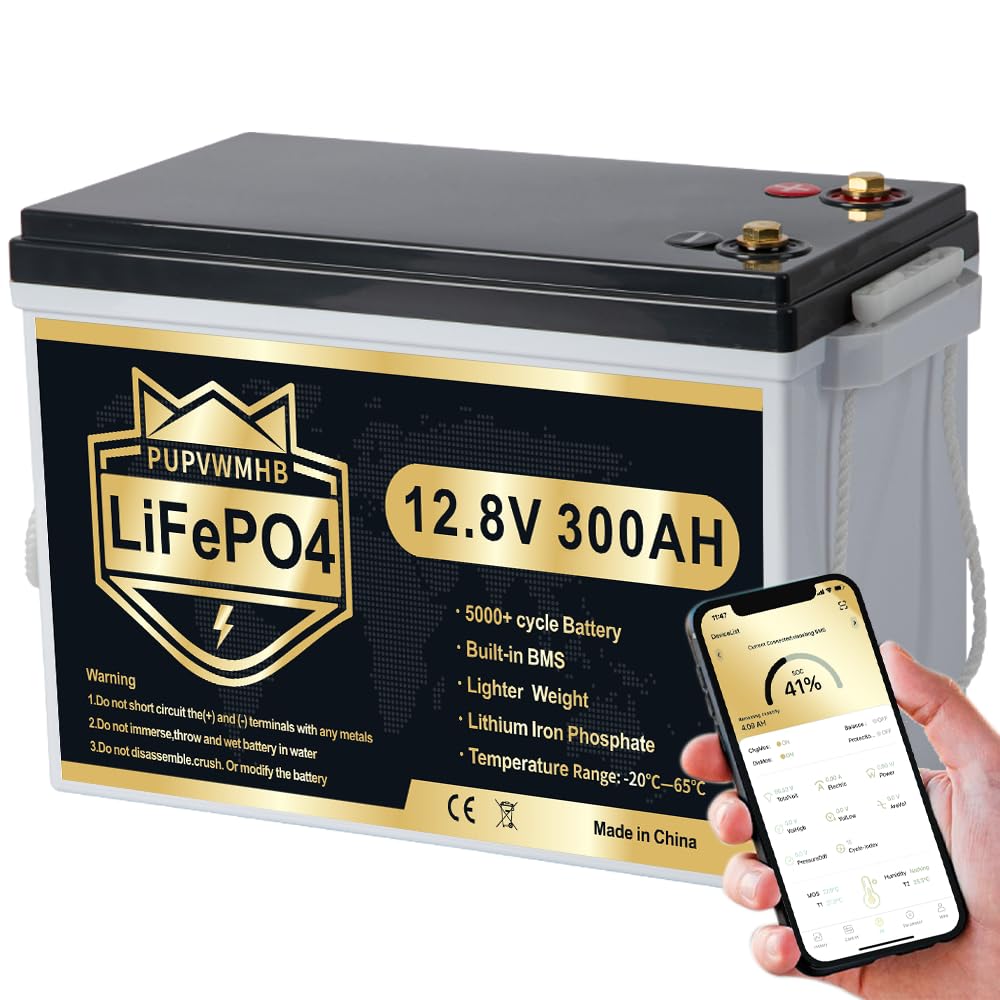 300Ah Lithium LiFePO4 Battery with Bluetooth H33605