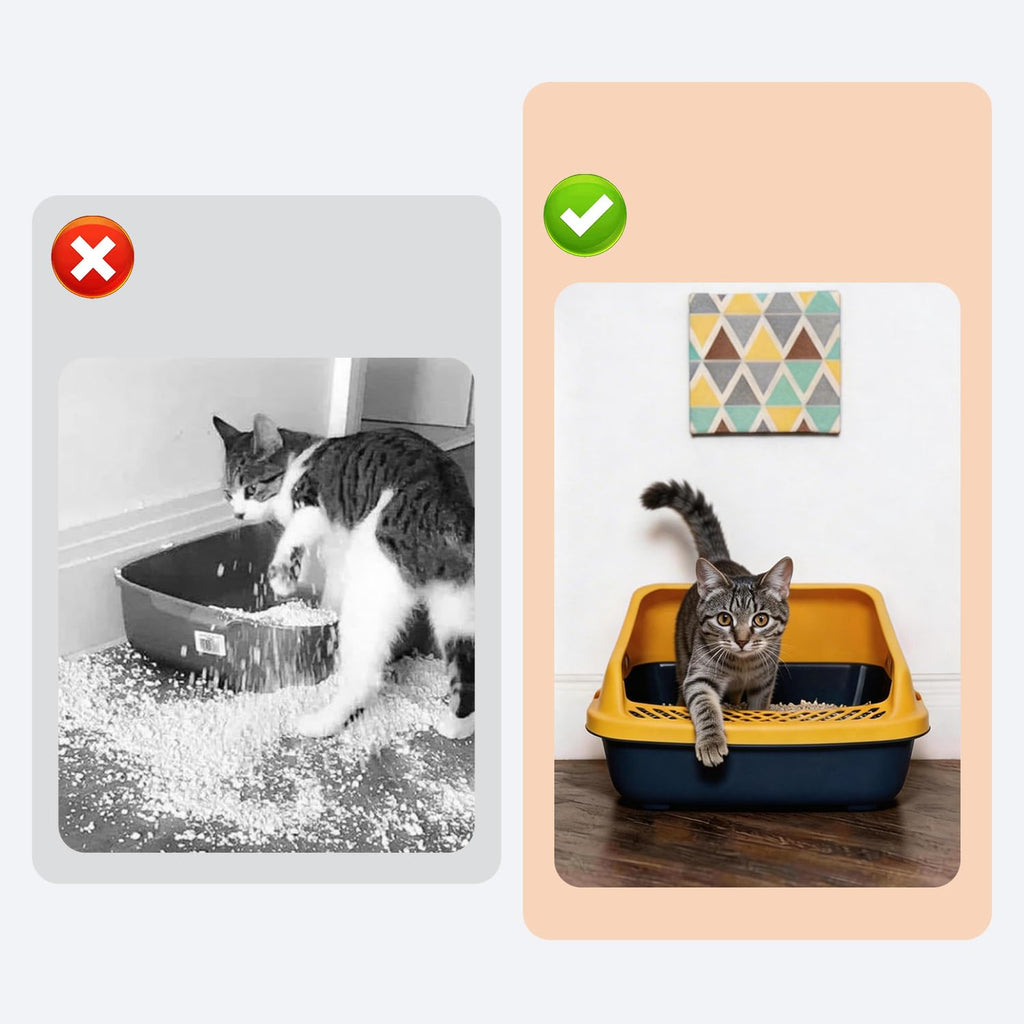 Blue Open Top Cat Litter Box with Scoop and Play Mat P457918