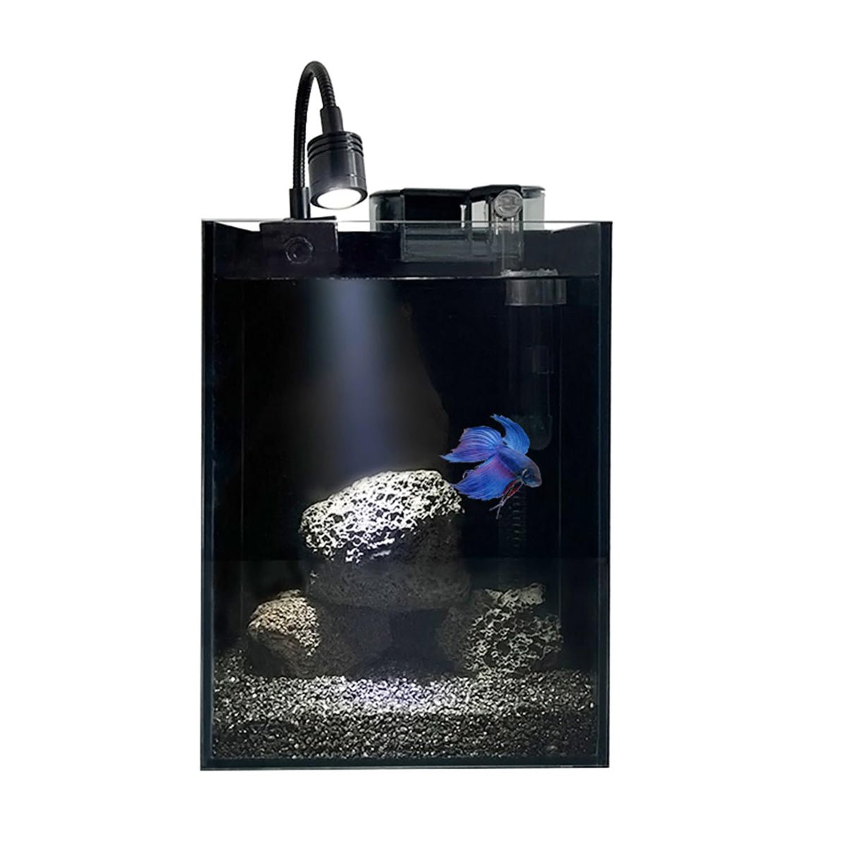 1.5 Gallon Glass Fish Tank Kit with Filter and LED Light E275022