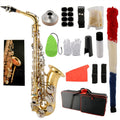 E Flat Alto Saxophone Musical Instrument H831