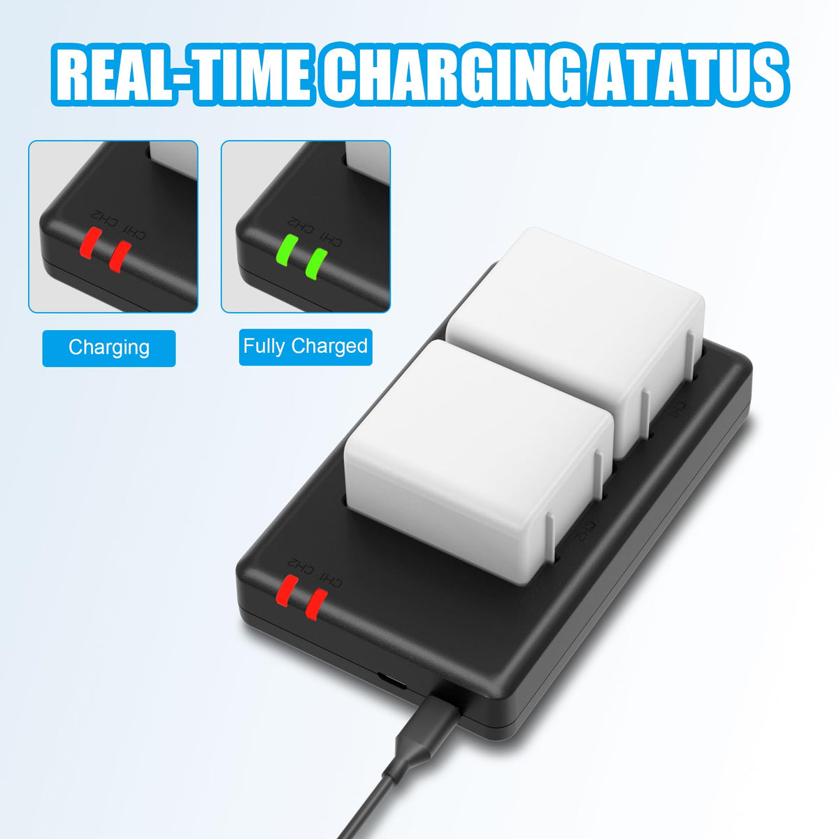 4800mAh Batteries with Dual Battery Charger D274378