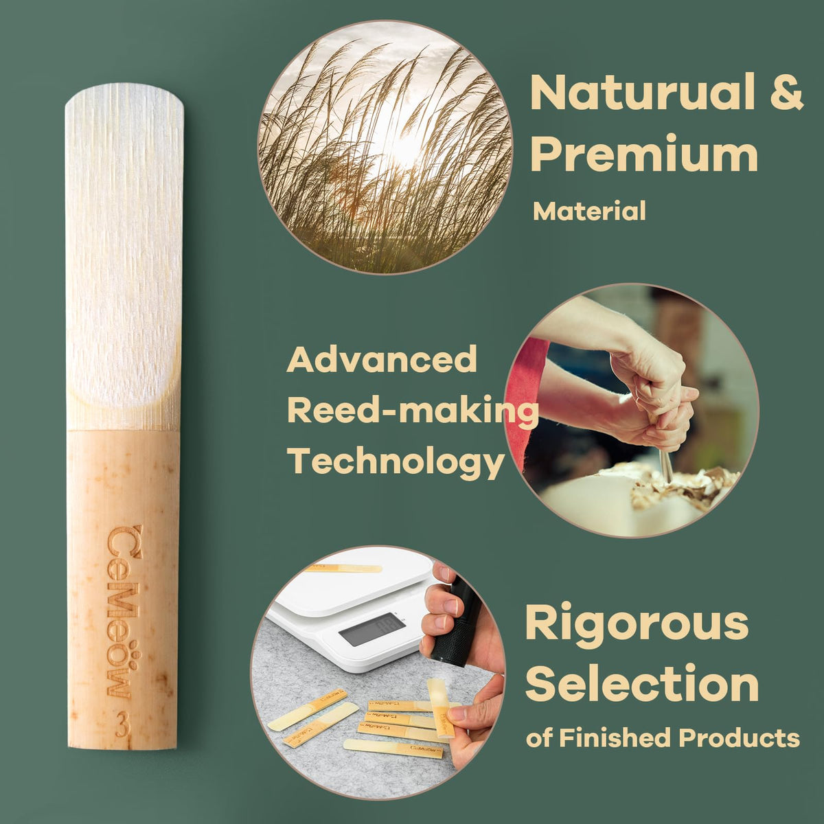Alto Saxophone Reeds 2.0 10 Pack G929