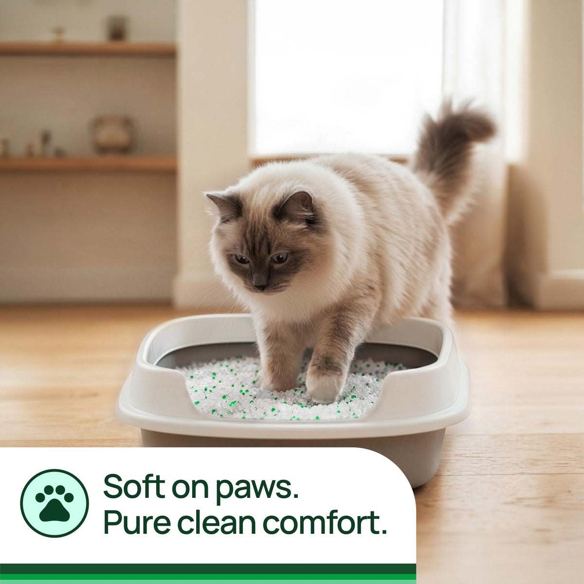 Unscented Non-Clumping Crystal Cat Litter, 7 lb S9010