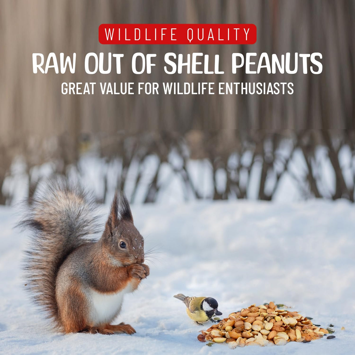 Raw Shelled Peanuts 5 Pounds K9559
