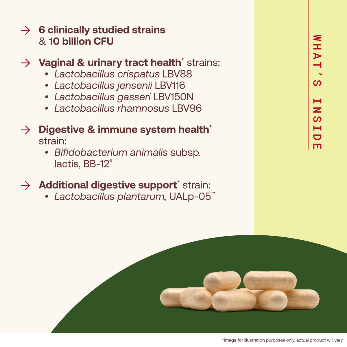 30 Capsules 10 Billion CFU Probiotics G416495