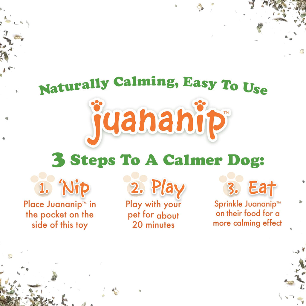 Squeaky Refillable Plush Dog Toy L5061