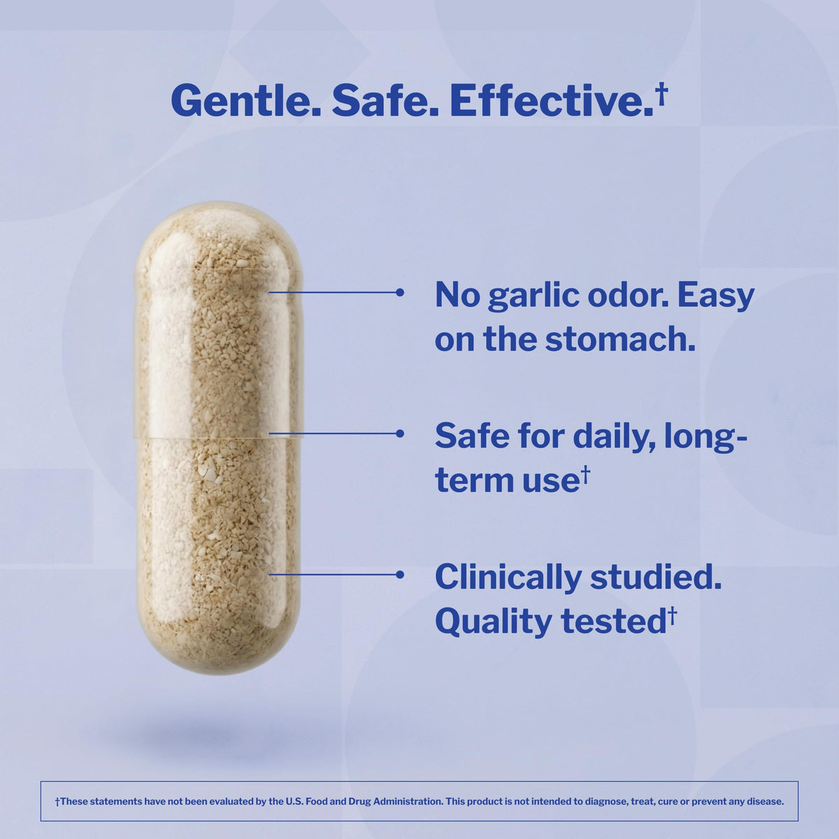 Aged Garlic Extract 300 Capsules M936