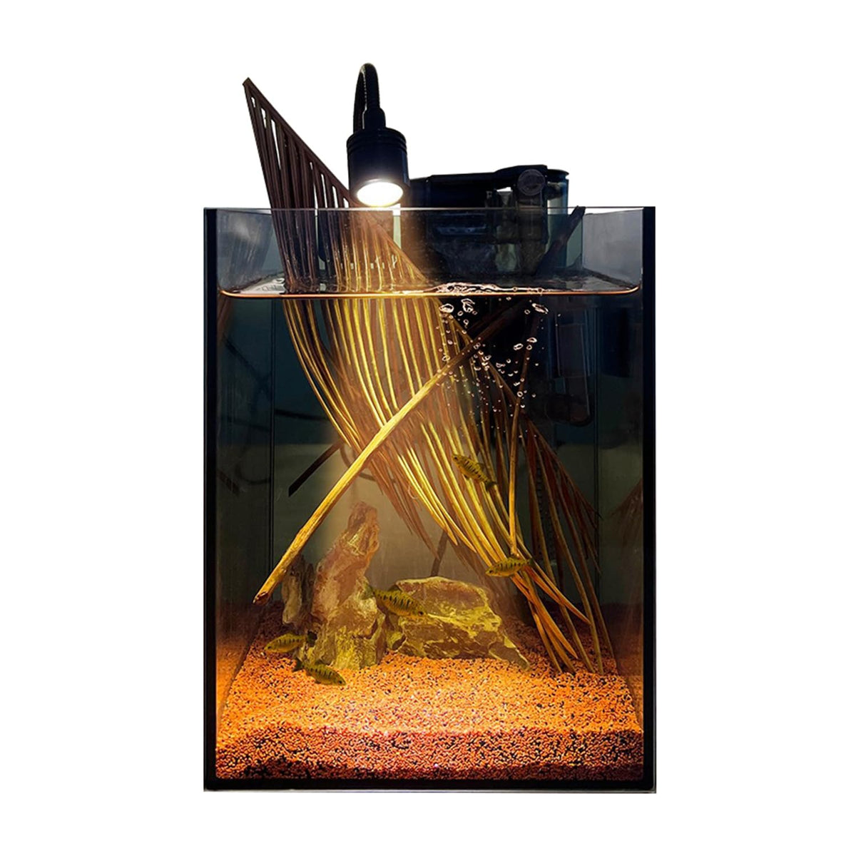 1.5 Gallon Glass Fish Tank Kit with Filter and LED Light E275022