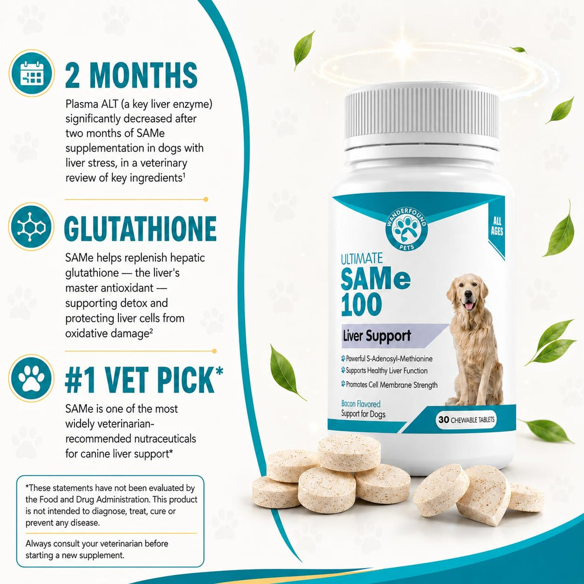 Liver Support for Dogs Chewable Tablets L95457