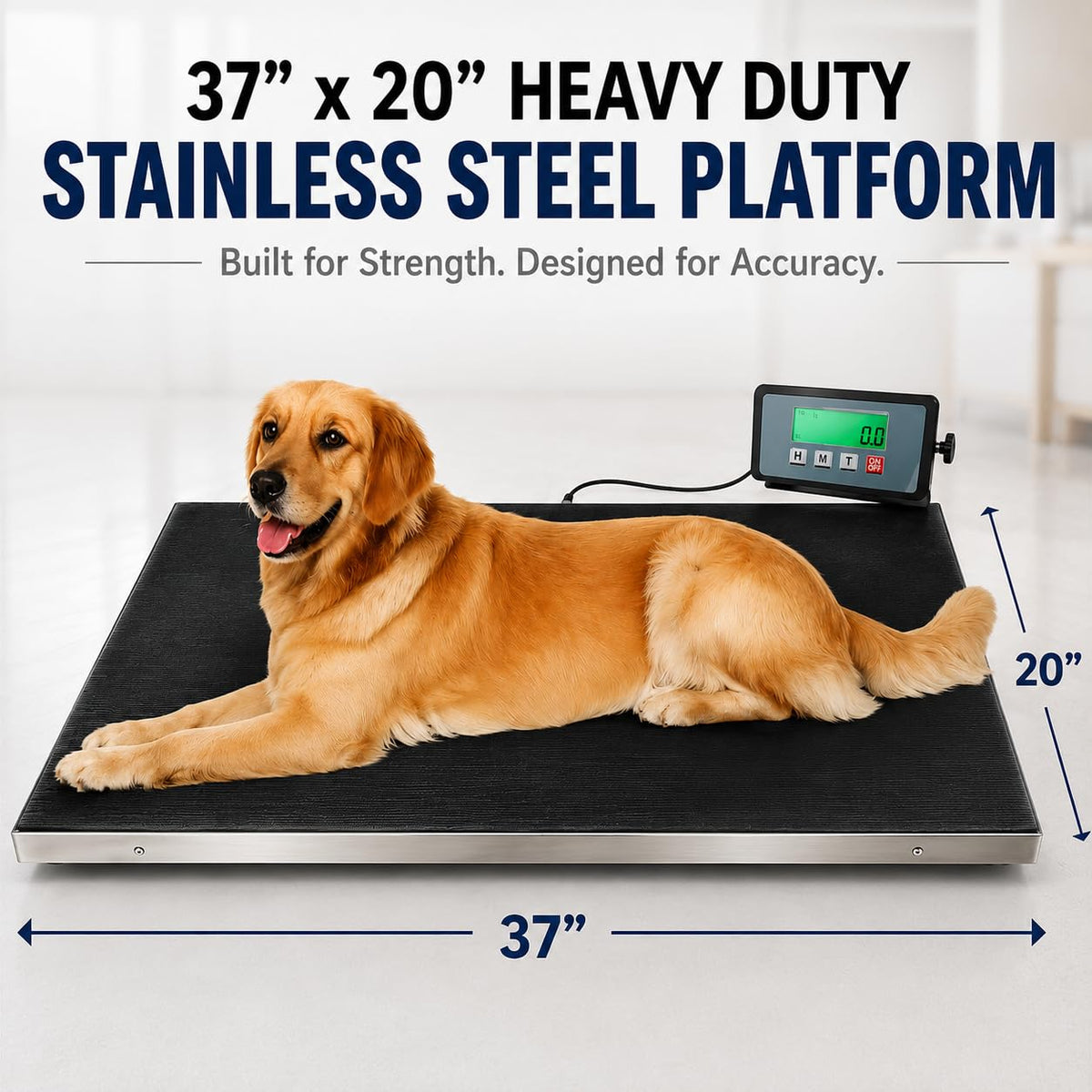 Heavy Duty 660 Pounds Veterinary Dog Scale with Stainless Steel Platform V237