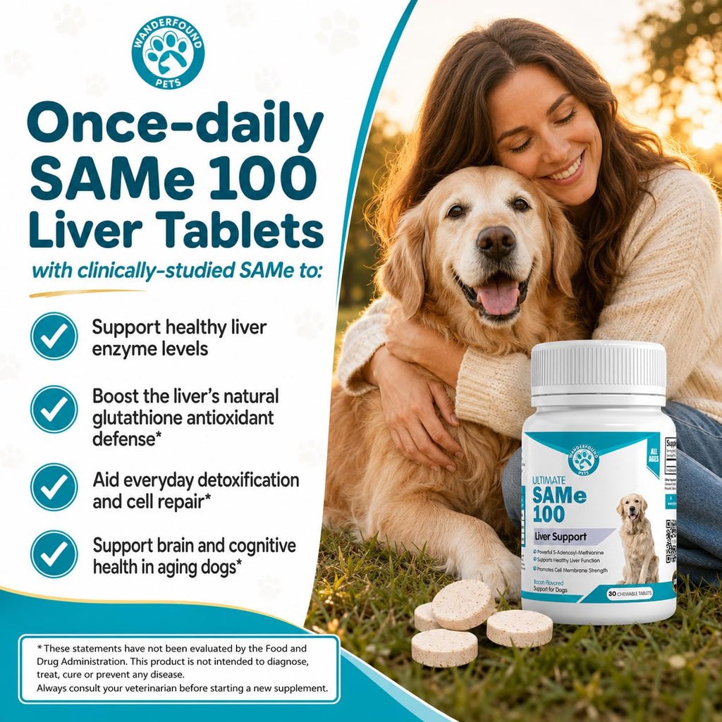 Liver Support for Dogs Chewable Tablets L95457