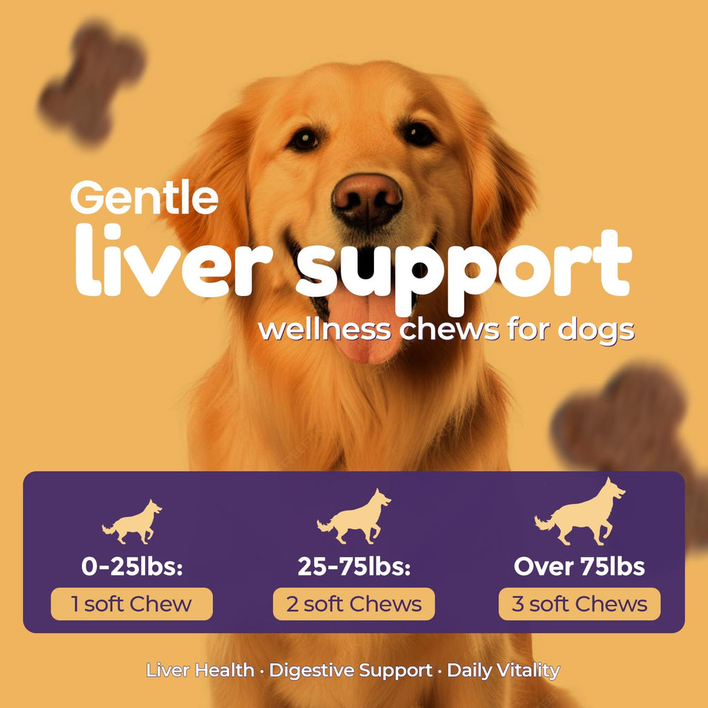 Dog Liver Supplement, Milk Thistle & Same, 5B CFU Probiotics, 90 Soft Chews Z706