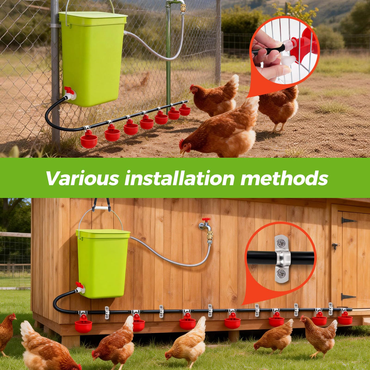 Automatic Chicken Waterer Set I2652