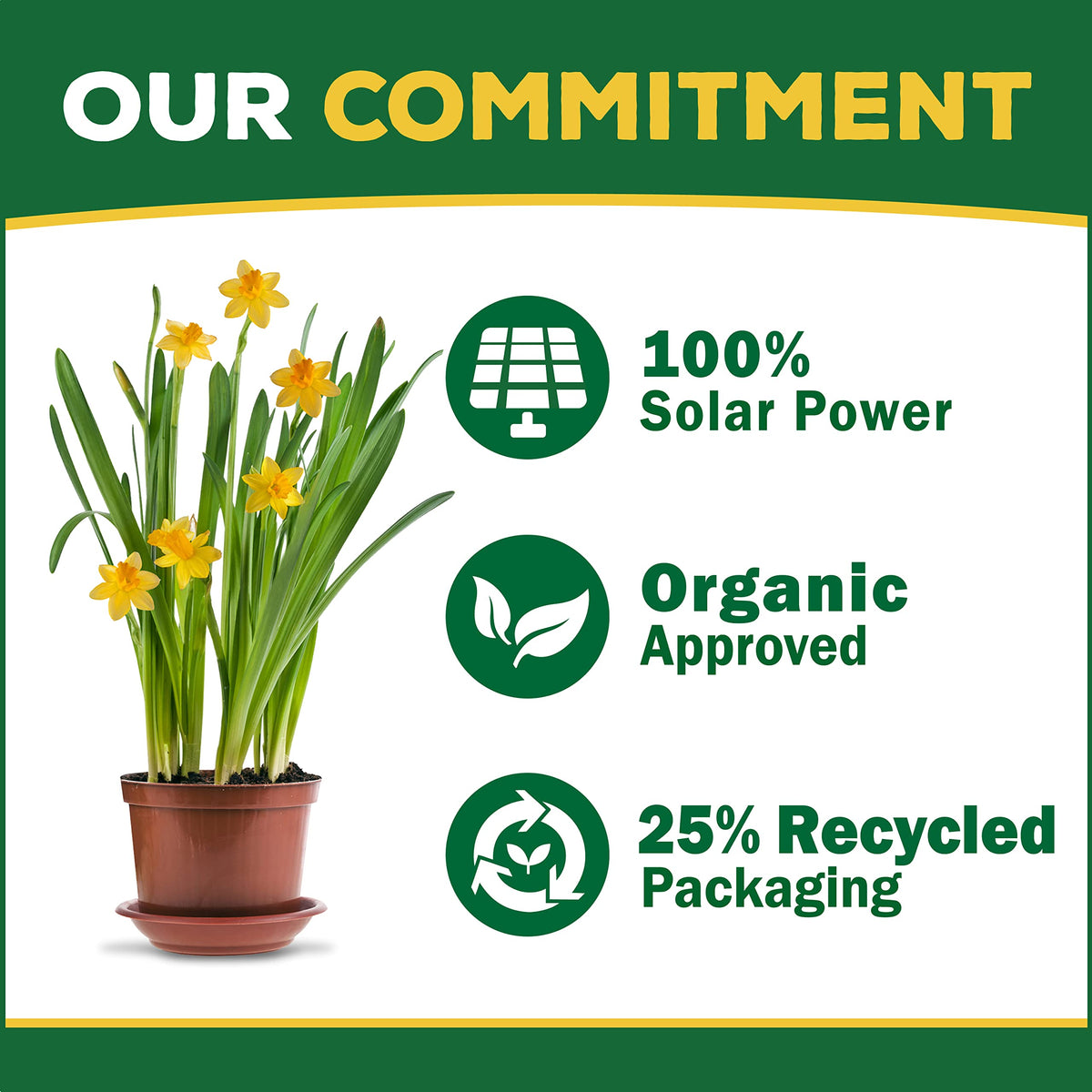 Organic Concentrated Plant Food Y749