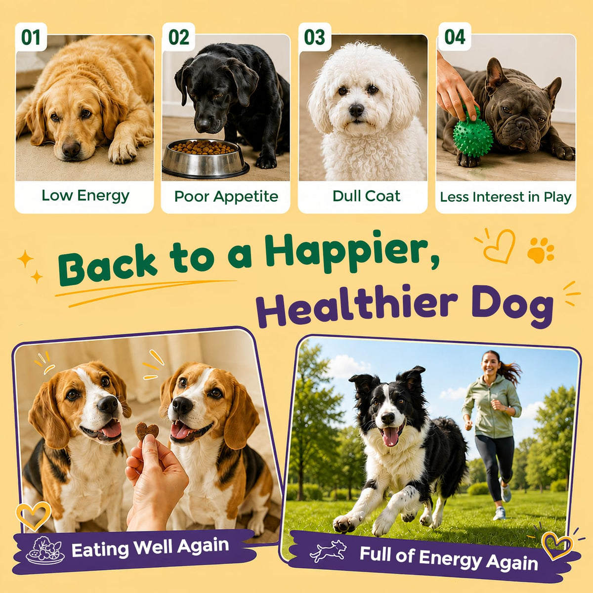 Dog Liver Supplement, Milk Thistle & Same, 5B CFU Probiotics, 90 Soft Chews Z706