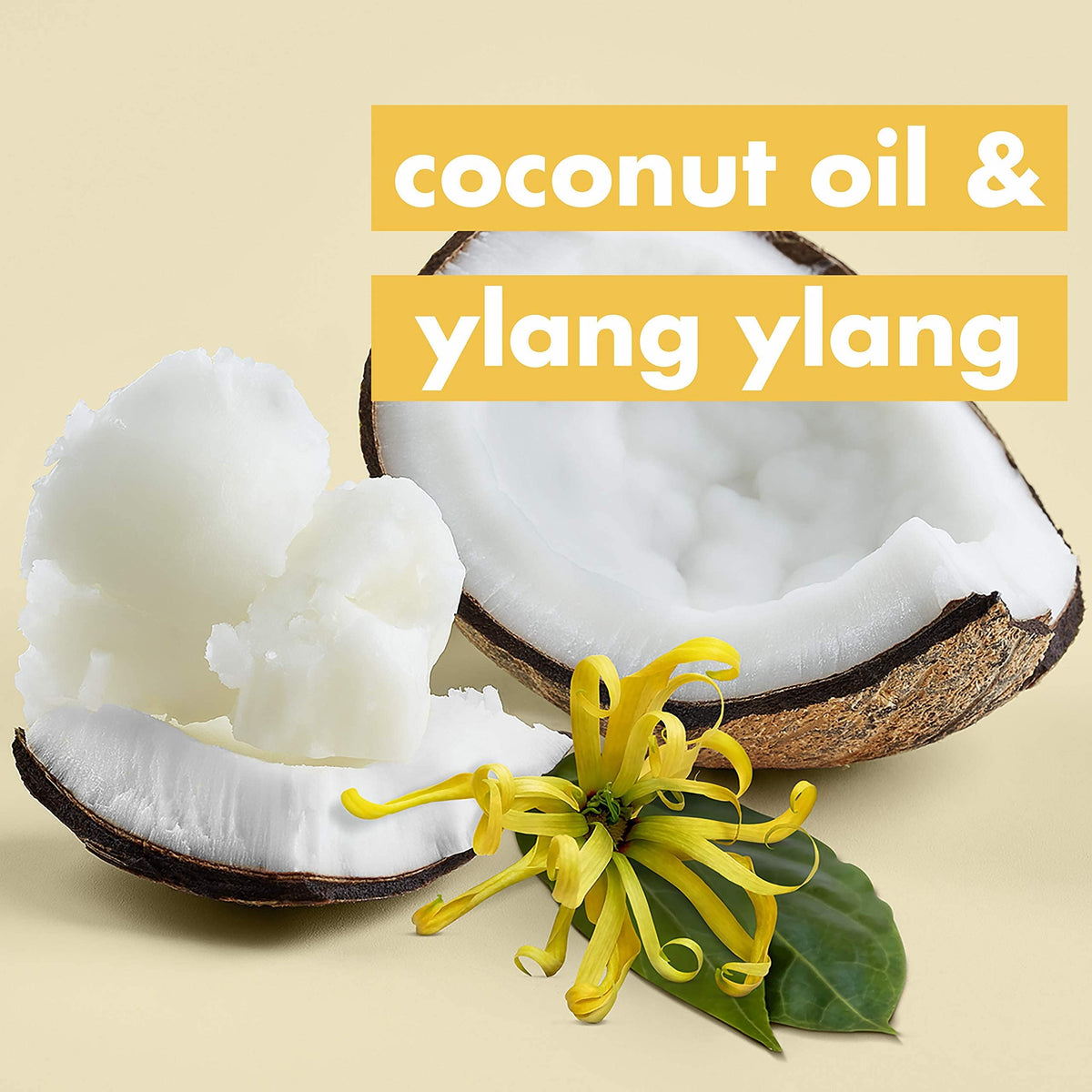 Coconut Oil & Ylang Shampoo and Conditioner 2 Count 13.5 oz P1515