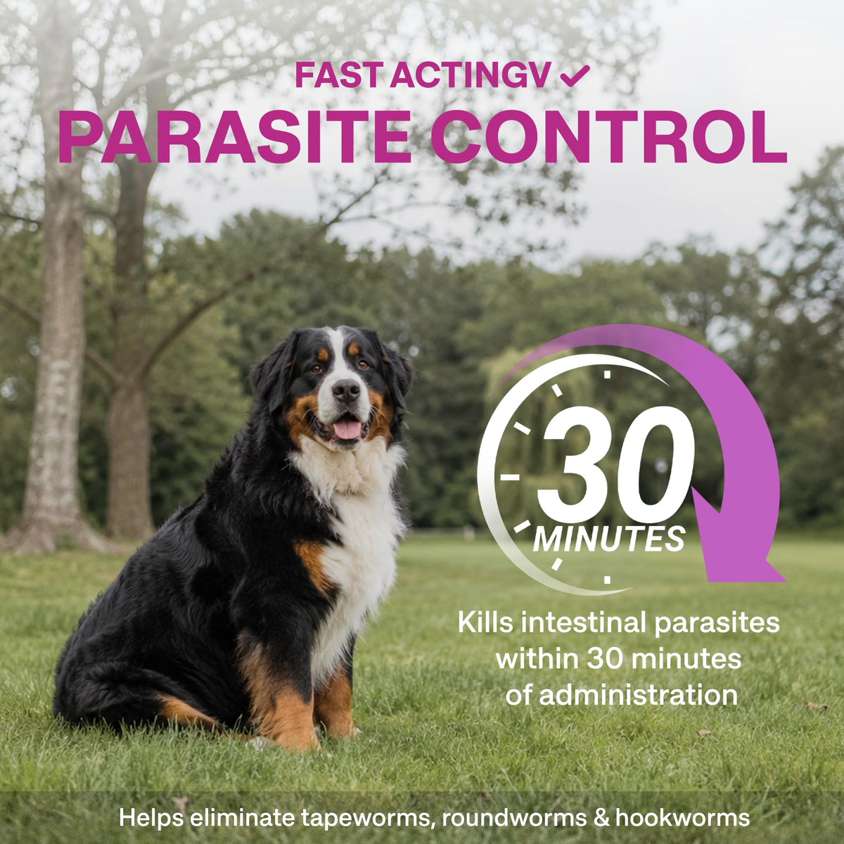Dog Dewormer Liquid Formula with Praziquantel & Pyrantel Pamoate, 3.38 fl oz U336787