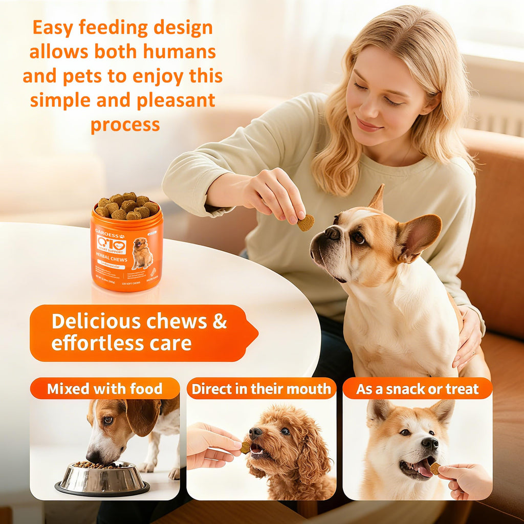 Bacon Flavor 120 Count CoQ10 Chews for Dogs L8220