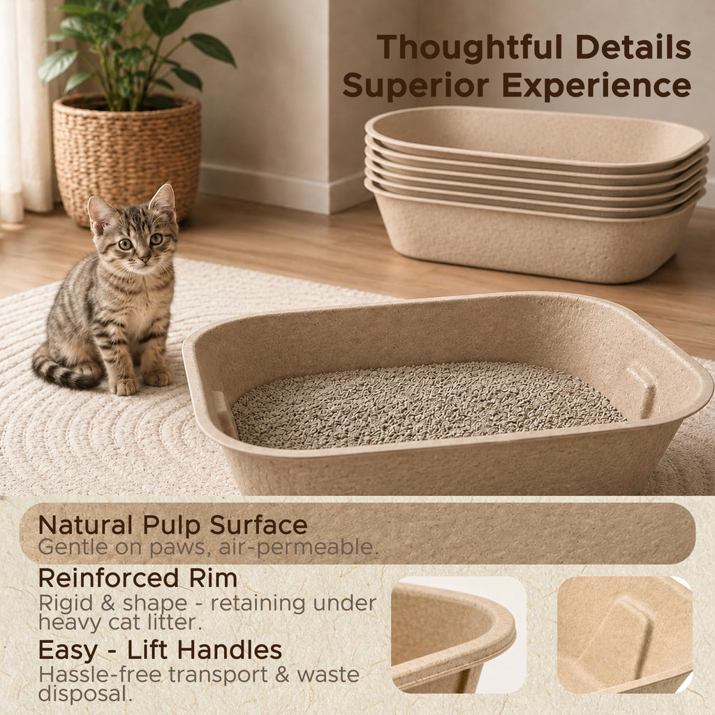 Disposable Litter Box for Kittens Q126586