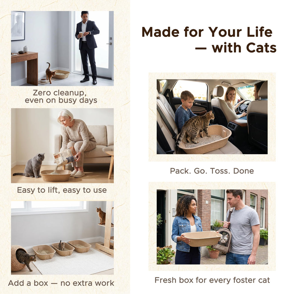 Disposable Litter Box for Kittens Q126586