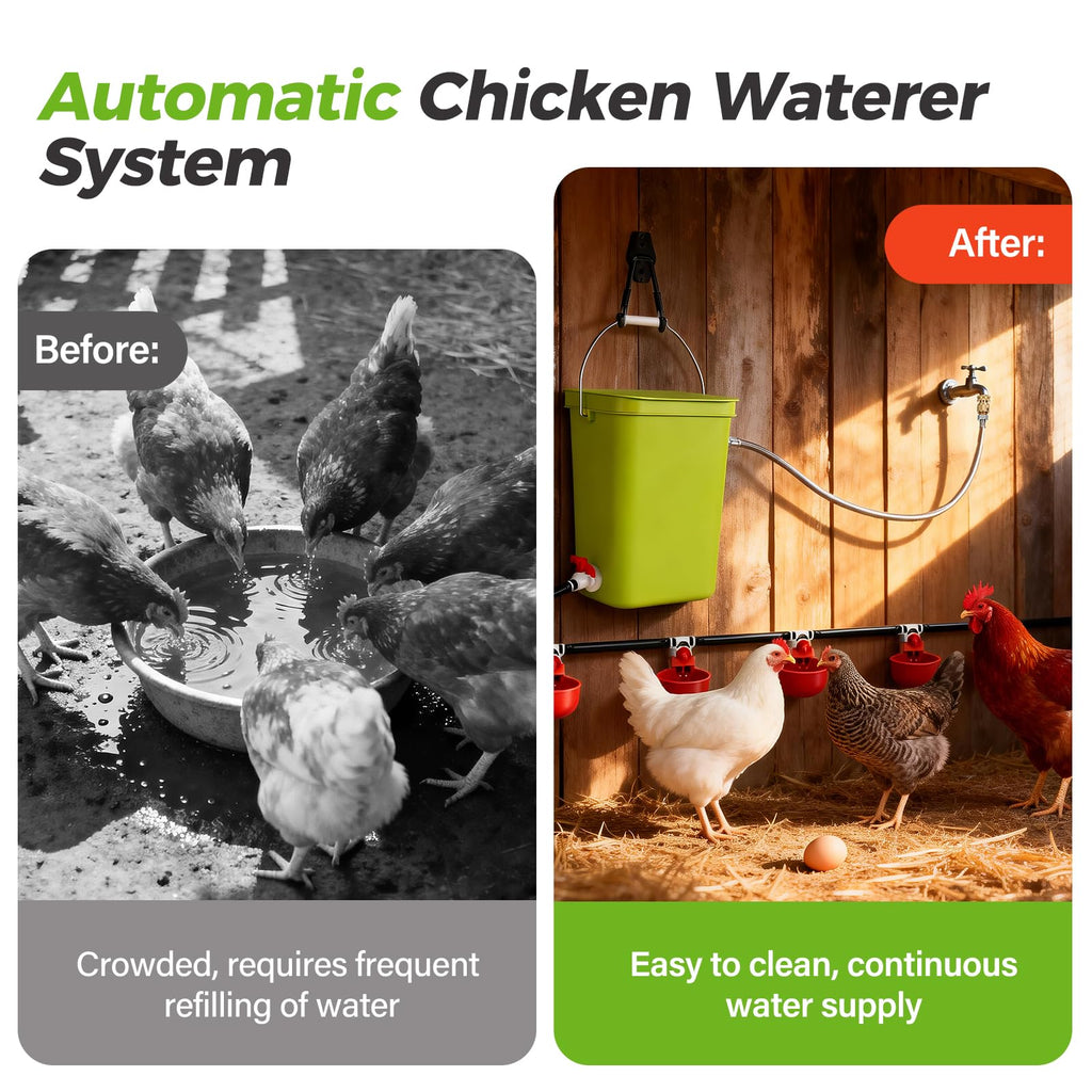 Automatic Chicken Waterer Set I2652