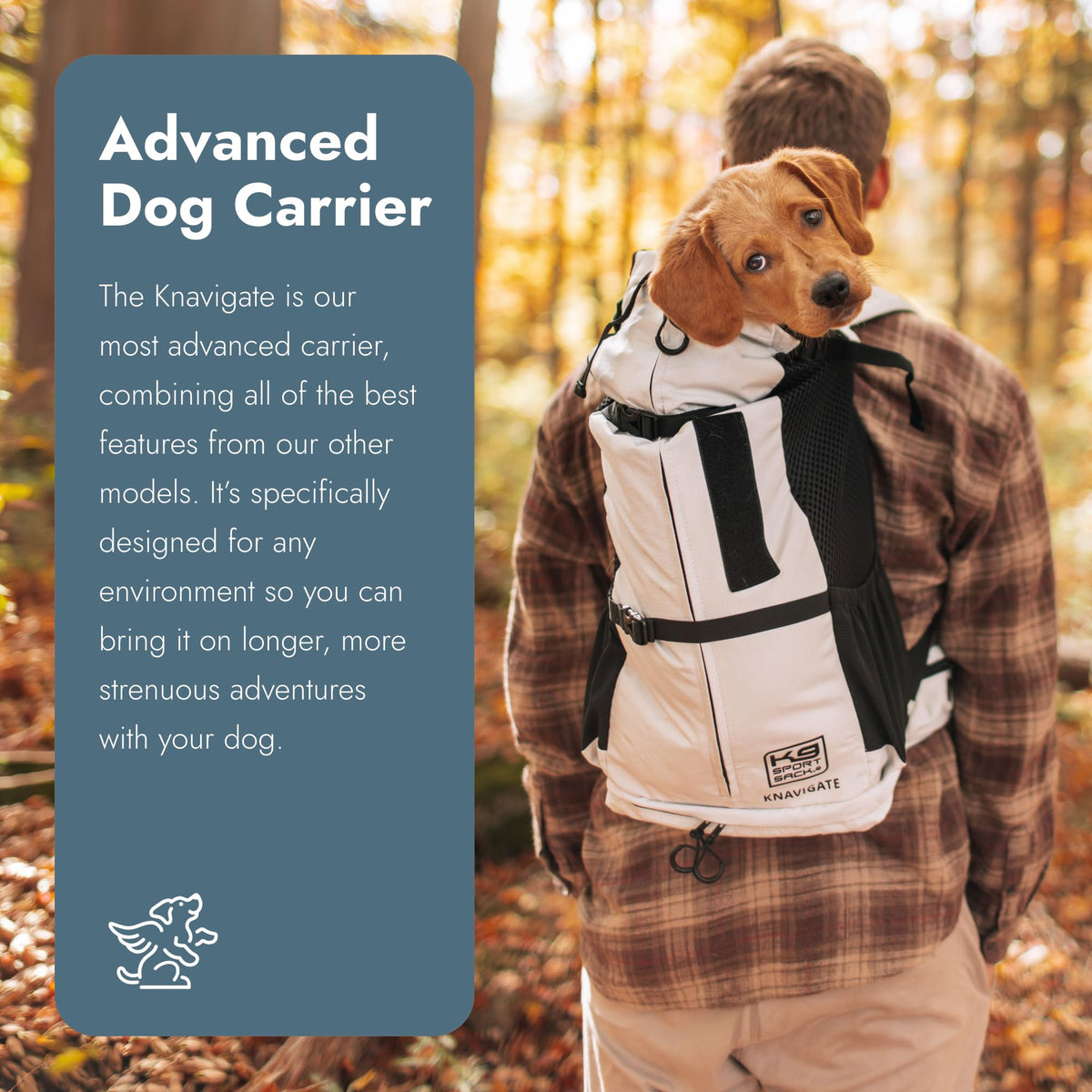 X-Large Dog Carrier W269570
