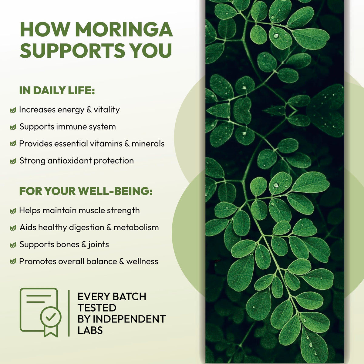 Organic Moringa Leaf Capsules 1000mg 90 Capsules B71317
