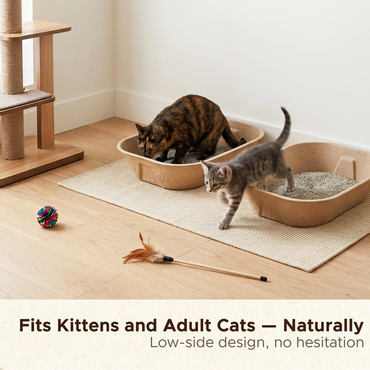Disposable Litter Box for Kittens Q126586