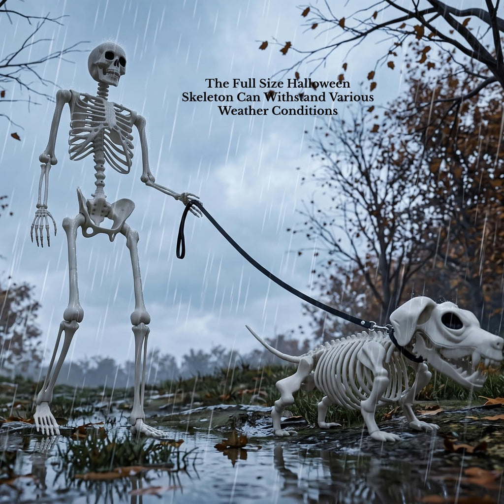 5.4FT Posable Skeleton P9099