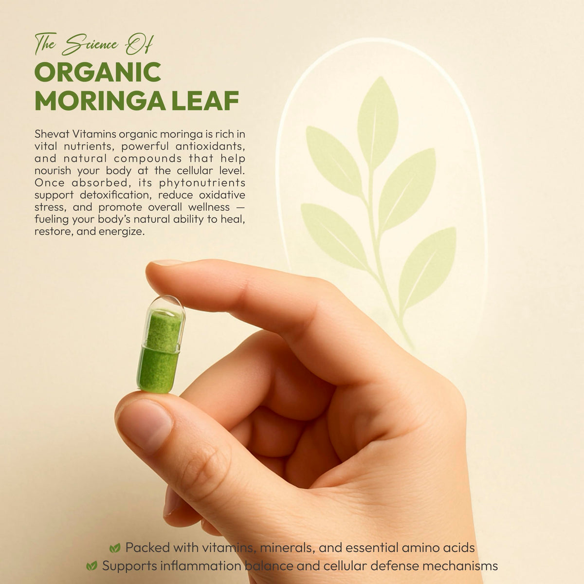 Organic Moringa Leaf Capsules 1000mg 90 Capsules B71317