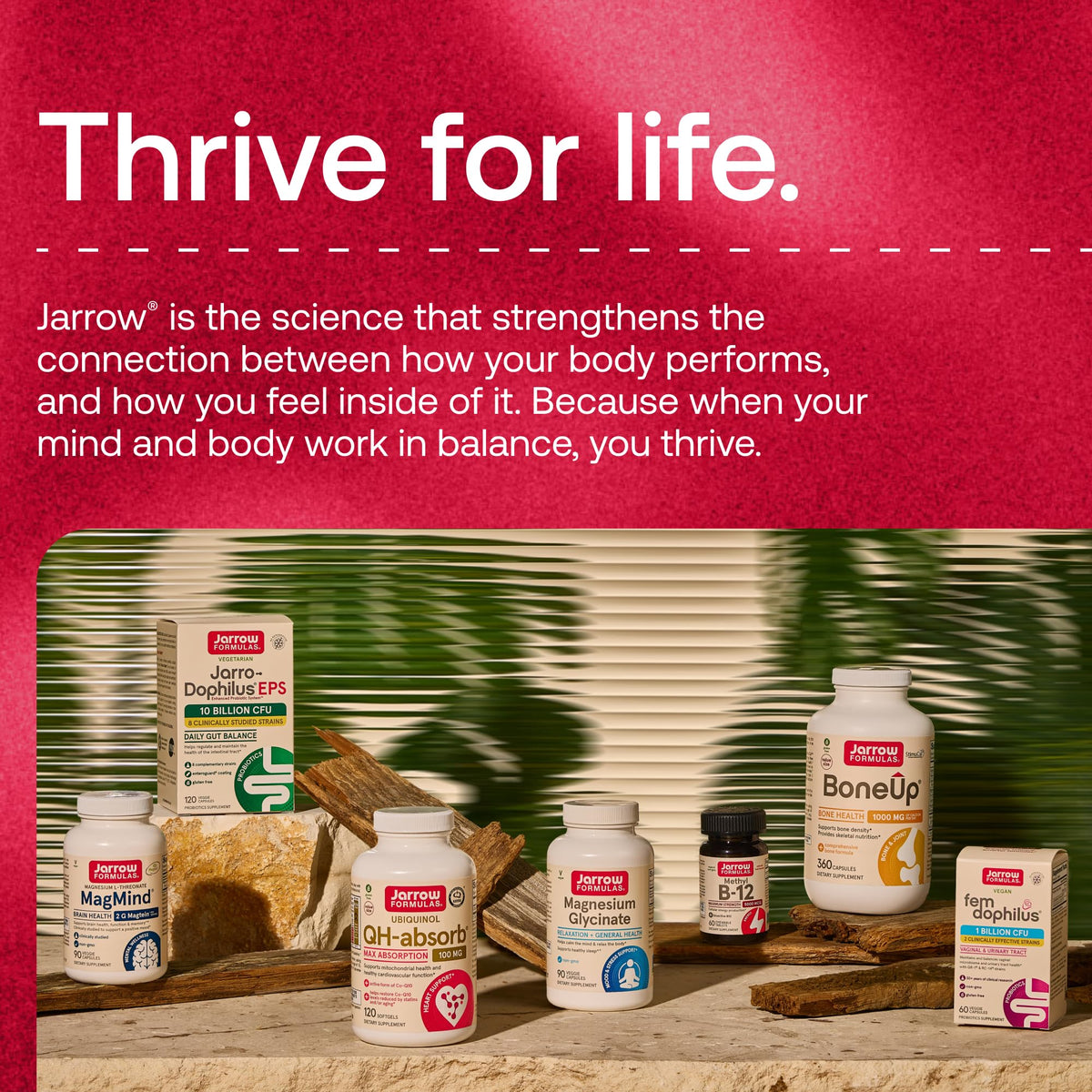 30 Capsules 10 Billion CFU Probiotics G416495