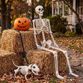 5.4FT Posable Skeleton P9099